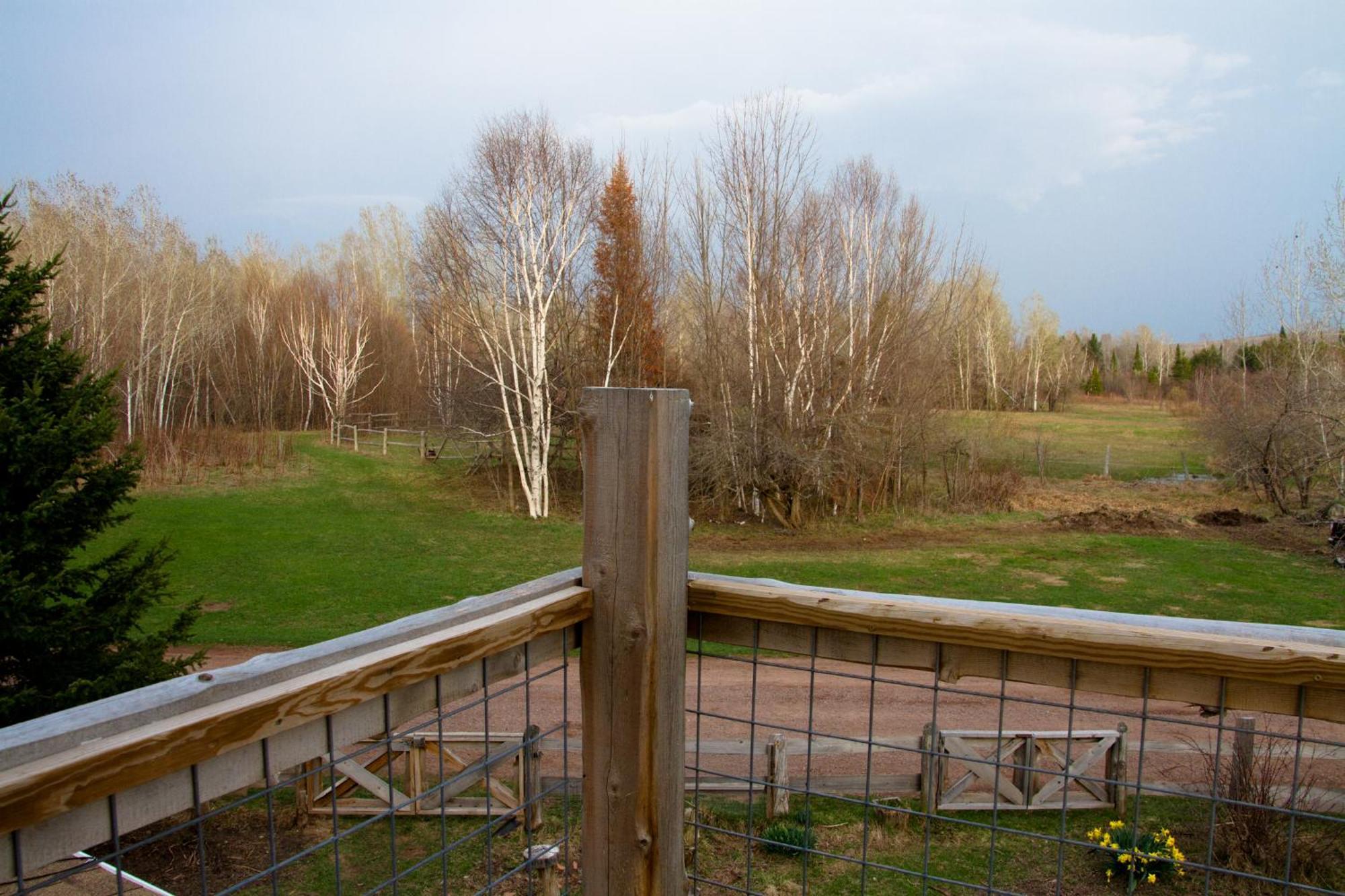 White Horse Stable Bayfield Exterior foto